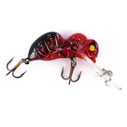 Rebel Big Ant