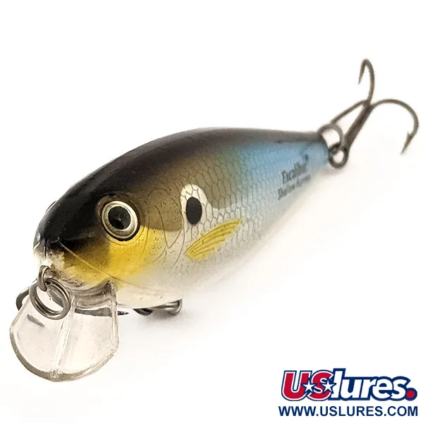 Excalibur Swim'N Image Vobleris, Mėlyna-Sidabrinė, 12.5g, #11598