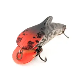 Rebel Creek Creature