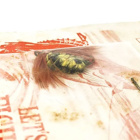 Rogers Fly Little Jigger, Western Bee, Avižėlė #20686