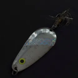 Lindy Finsel sidabruota