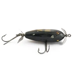 Creek Chub Injured Minnow su stiklinėmis akimis