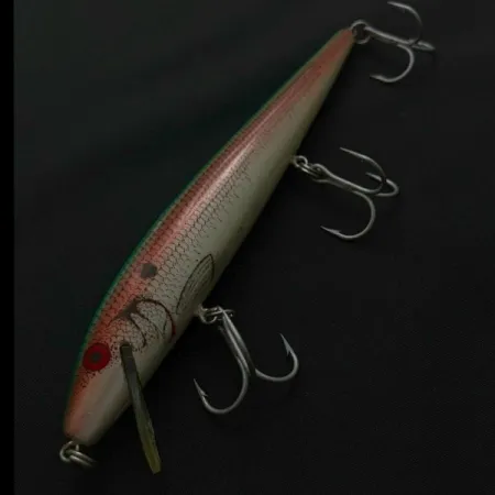 Rebel Floater F14, 14 g, trout, plūduriuojantis vobleris #23753