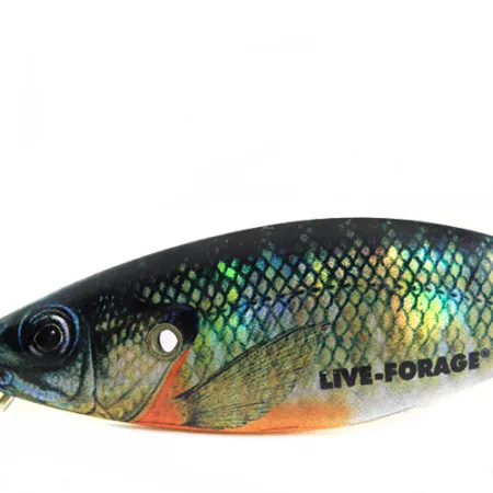 Northland Weedless Live Forage Vartiklė, Ešerys, 16.5g, Bežolė, #0700