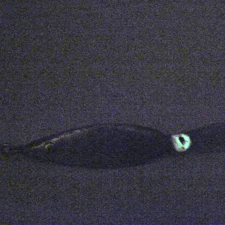 Weedless Fred Arbogast 3 Hawaiian Glow Blizgė, 16g, Žolių apsauga, #3338