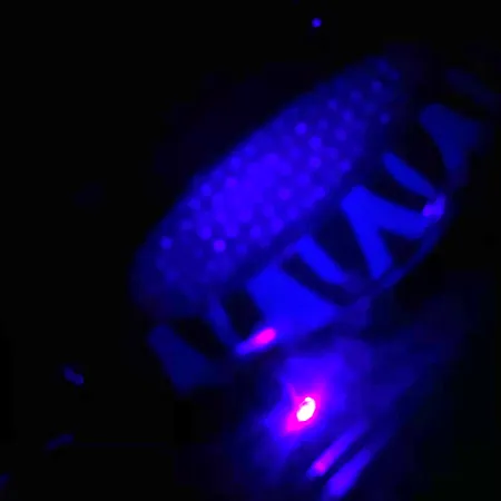 Blue Fox Rattlin Pixee UV Blisgė, Nikelis / Mėlyna, 24g, UV, #4556