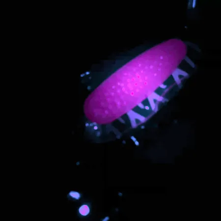 Blue Fox Pixee UV Blivė, Nikelis/Rožinė, 14g, UV danga, #4558