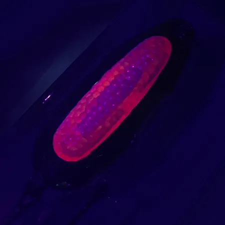 Blue Fox Rattlin Pixee UV Blisgė, Auksinė / Raudona, 14g, UV, #4749