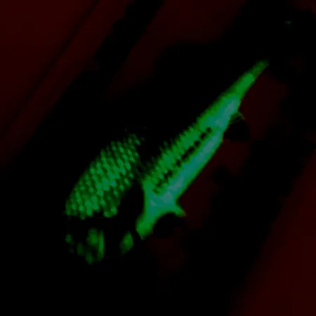 Northland Live Forage Glow Blizgė, Vaivorykštinė Žuvis, 7g, #5140