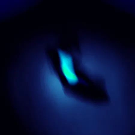 Reef Runner Cicada Cikada, Black / Green, 1,2g, Švytintis, #5241