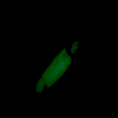 Luhr Jensen Crippled Herring Blizgė, Balta/Žalia UV Glow, 21g, #5921