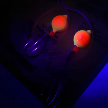 Northland Live Fishing Bait Roach Rig UV Sistemėlė, Oranžinė, UV, #5967