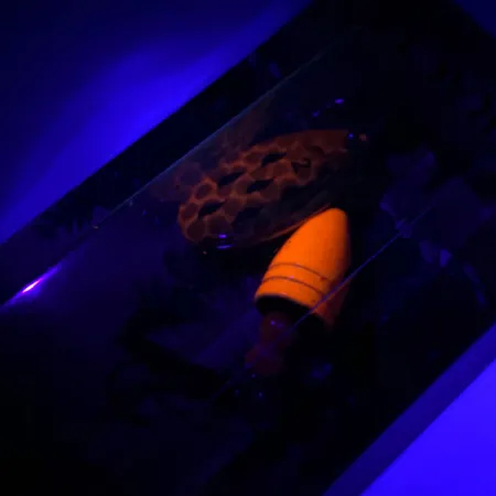 Luhr Jensen Fire Max Miracle 2 UV Sukrė, Krevetė, 7g, UV, #6044