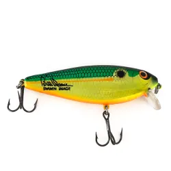 Excalibur Shallow Runner Bill Dance Swim'N Image
