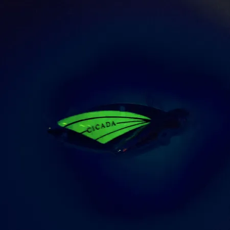 Reef Runner Cicada Cikada, Nikelis / Žalia, 14g, Šviečiantis, #9560