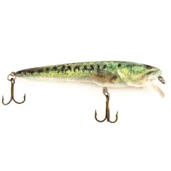 Berkley Frenzy FWD4S